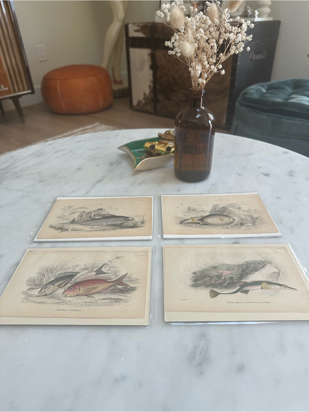 1800s Jardineโs The Naturalistโs Library Chromolithographs Rare Fish